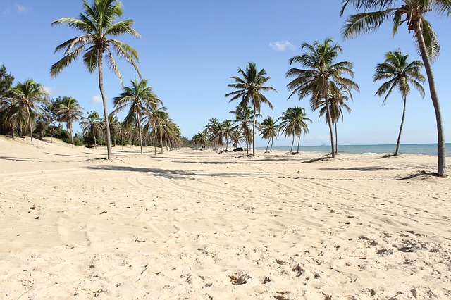 Beaches in Brazil
