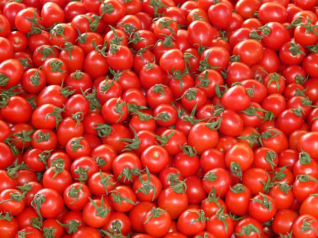 Tomatoes Festival Bunol Spain