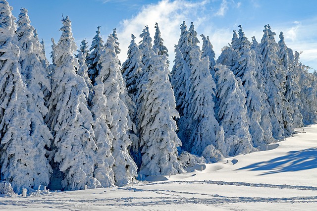Best winter destinations
