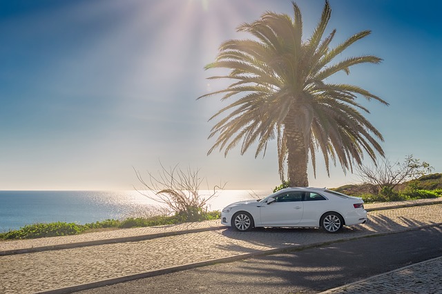 car rental jacksonville