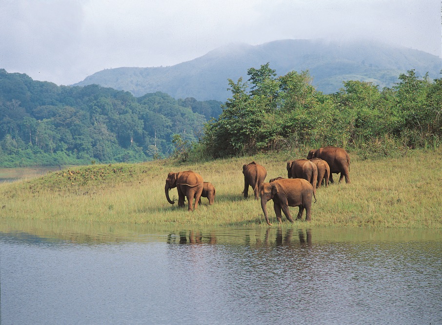 Kerala-Tour