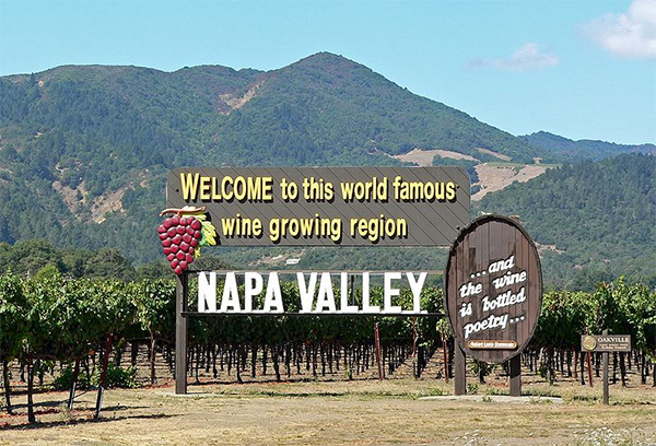 Napa-valley-usa-wine-yard